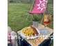 Mülheim_Franky’s Mintard_10