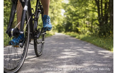Ein Radfahrer fährt auf einem Fahrradweg durch den belaubten Wald.