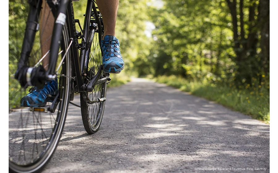Ein Radfahrer fährt auf einem Fahrradweg durch den belaubten Wald.