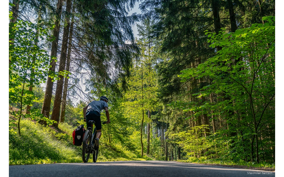 Bäume erradeln