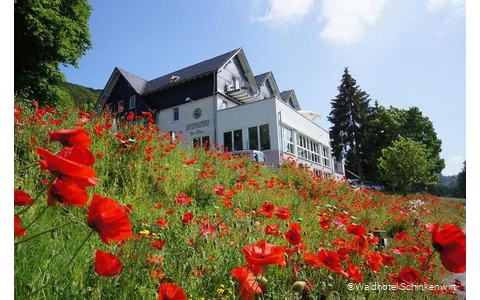 Außenansicht des Waldhotels Schinkenwirt in Olsberg