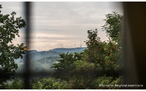 Ausblick vom Romantik Berghotel Astenkrone in Winterberg