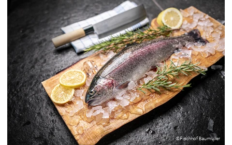 Speisen des Fischhofs Baumüller in Wickede (Ruhr)