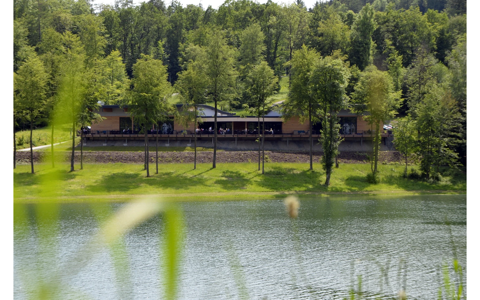 Blick auf das H1 am See in Meschede am Hennesee