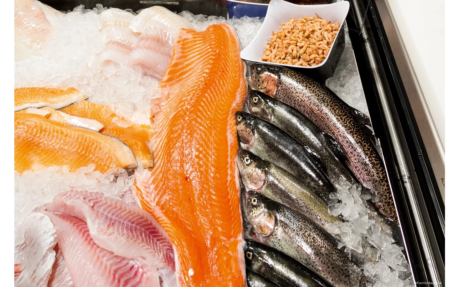 Fischauslage des Fischhofs Baumüller in Wickede (Ruhr)