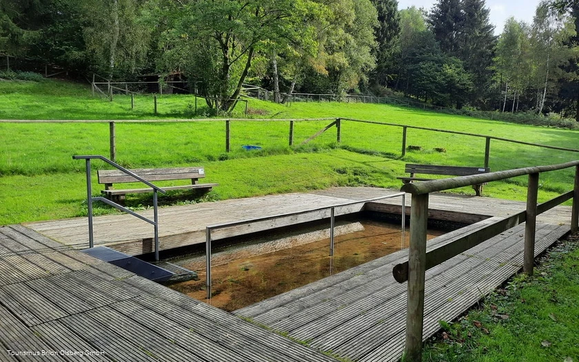 Tretbecken Assinghausen