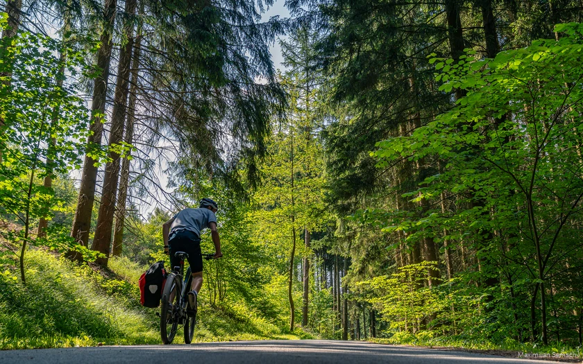 Bäume erradeln