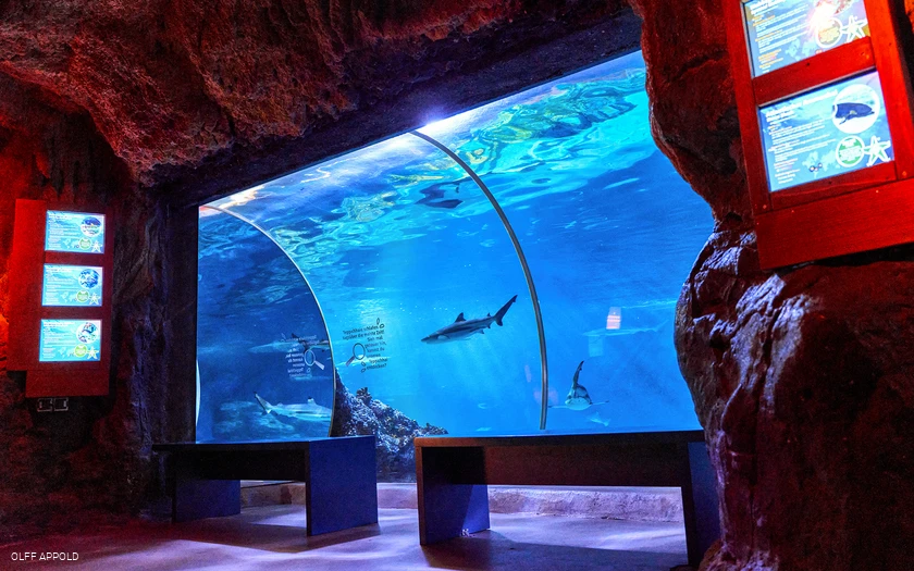 SEA LIFE Oberhausen