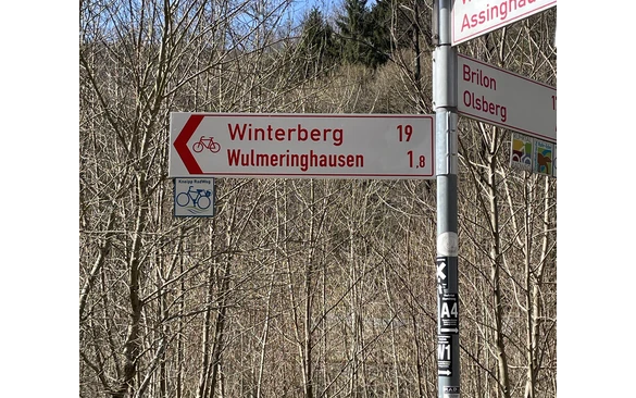 50_Beschilderungskataster_Wegweiser-Winterberg-Wulmeringhausen_493917.jpeg