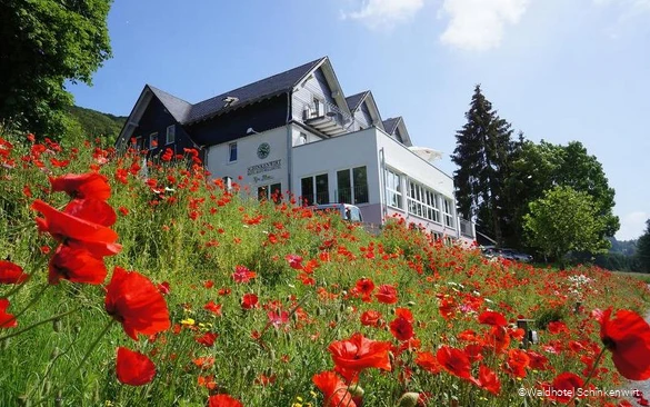 Außenansicht des Waldhotels Schinkenwirt in Olsberg