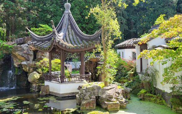 Chinesischer Garten_Bettina Kersting_CC_BY_SA.jpg