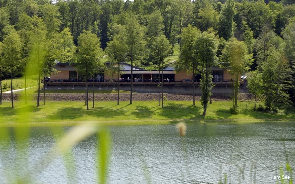 Blick auf das H1 am See in Meschede am Hennesee