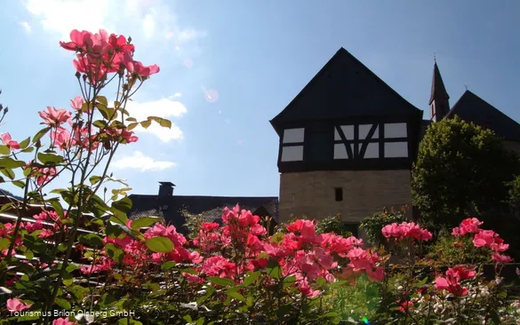 Rosen Zehntspeicher