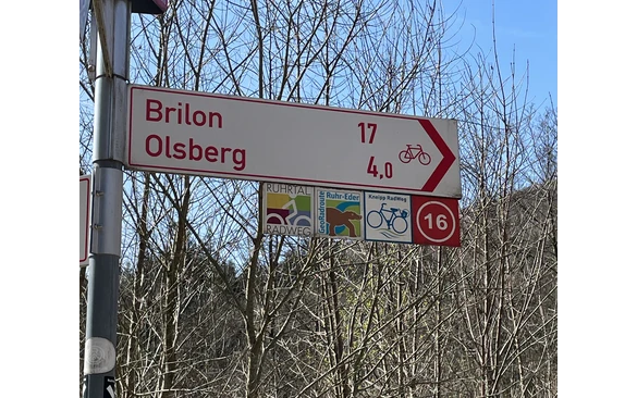 51_Beschilderungskataster_Wegweiser-Brilon-Olsberg_493916.jpeg