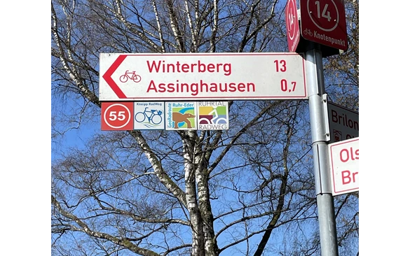 18_Beschilderungskataster_Wegweiser-Winterberg-Assinghausen_493542.jpeg