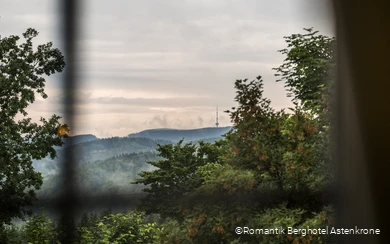 Ausblick vom Romantik Berghotel Astenkrone in Winterberg