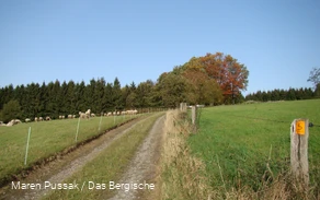 Bergischer Weg vor Eikamp