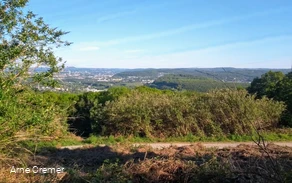 Wald Nacken