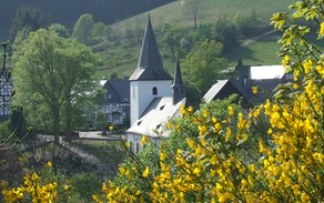 KIRCHHOF_GINSTER_MAI07.JPG