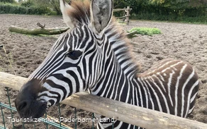 Tierpark Nadermann | Delbrück