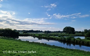 Das Steinhorster Becken