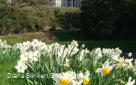 Villa Hügel und Hügelpark