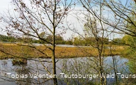 Steinhorster Becken