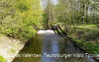 Steinhorster Becken
