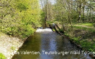 Steinhorster Becken