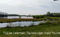 Steinhorster Becken