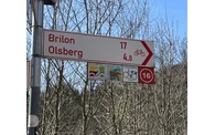 51_Beschilderungskataster_Wegweiser-Brilon-Olsberg_493916.jpeg