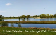 Steinhorster Becken
