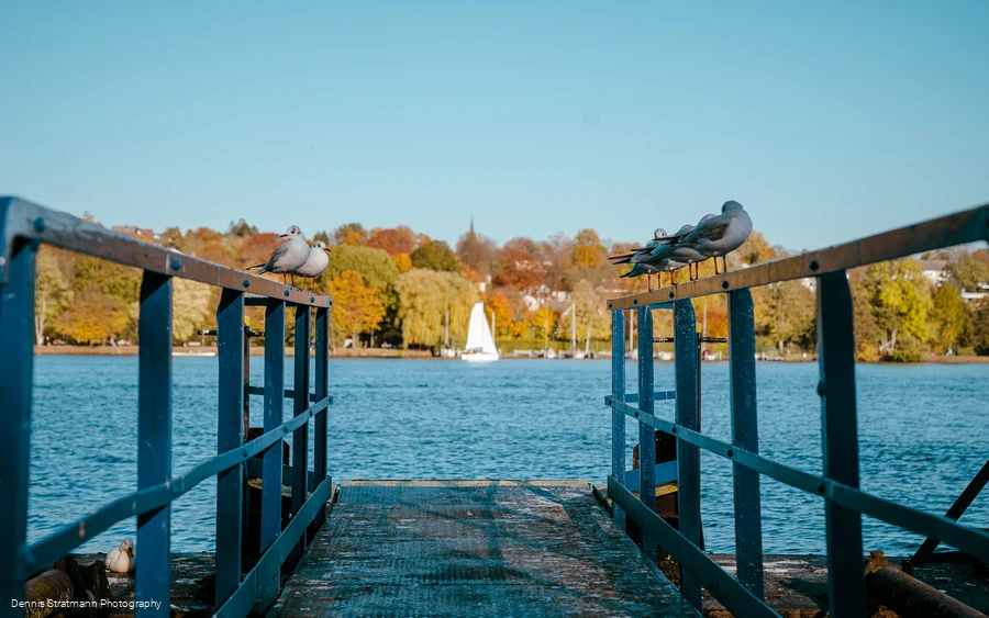 Baldeneysee, Essen