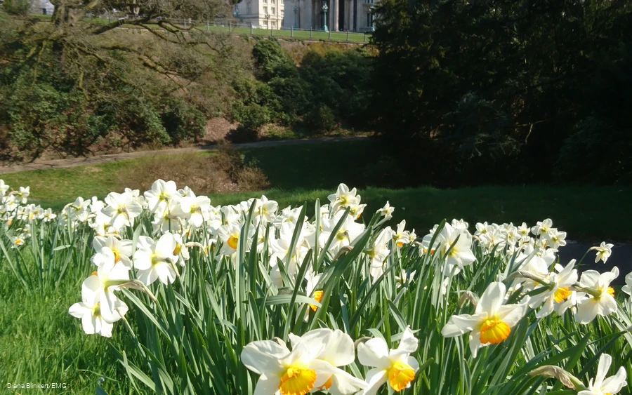 Villa Hügel und Hügelpark