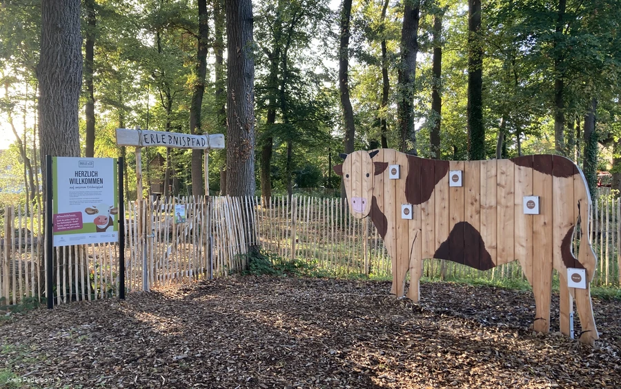 Erlebnispfad "Bulle&Co"  Delbrück-Boke
