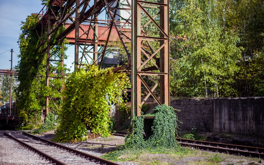 Henrichshütte Gerüst mit Pflanzen