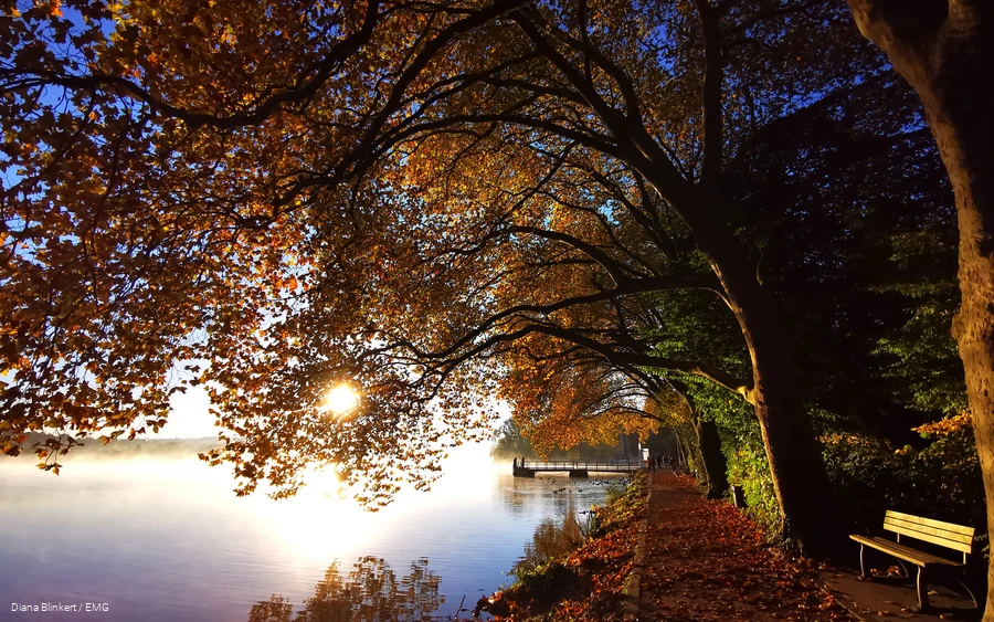 Baldeneysee Allee am Haus Scheppen