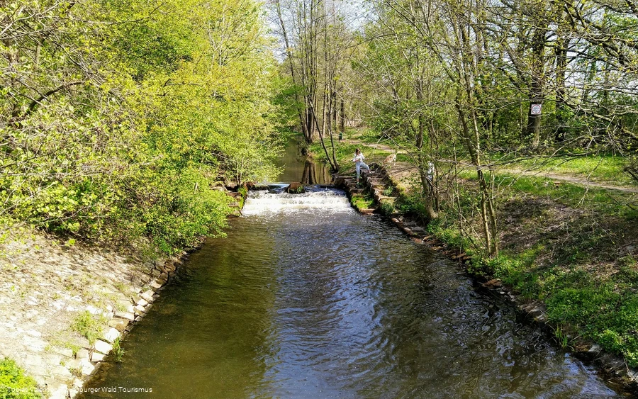 Steinhorster Becken