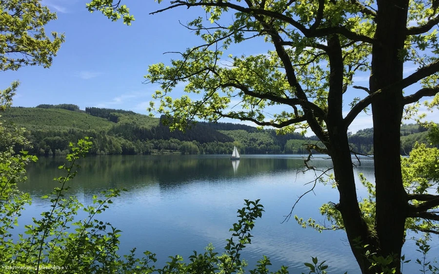 Hennesee Hennesee