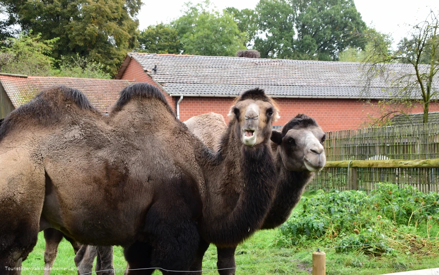 Tierpark Nadermann | Delbrück
