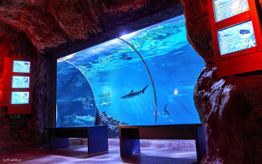 SEA LIFE Oberhausen