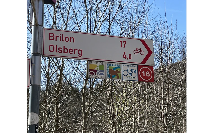 51_Beschilderungskataster_Wegweiser-Brilon-Olsberg_493916.jpeg