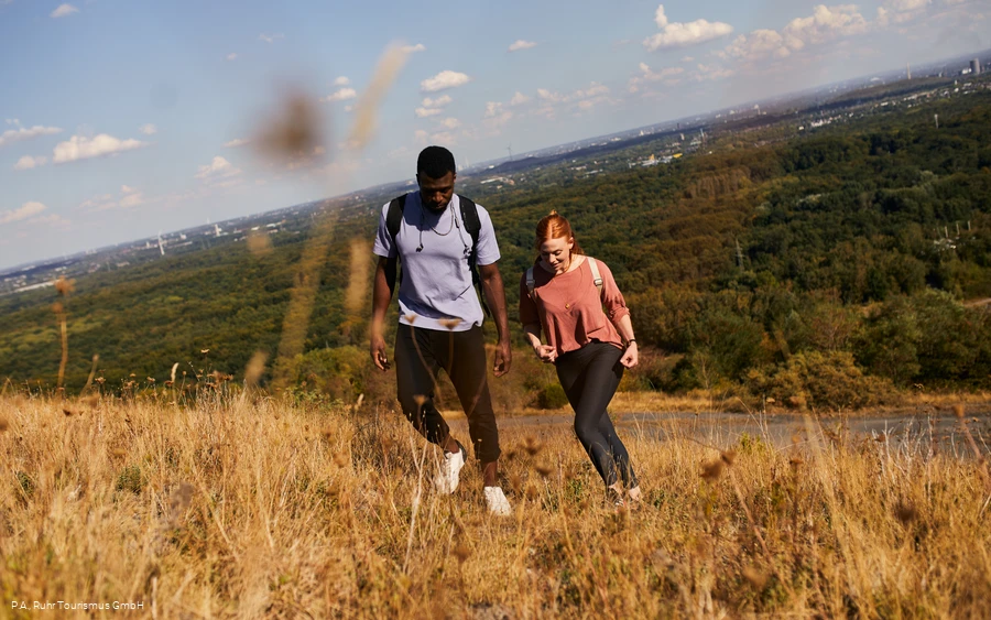 Halde Haniel, Bottrop