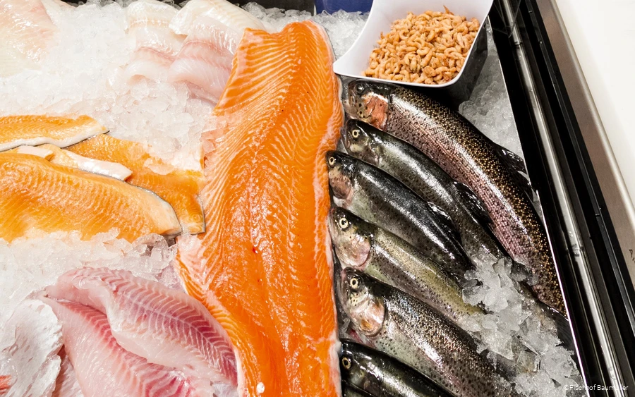 Fischauslage des Fischhofs Baumüller in Wickede (Ruhr)