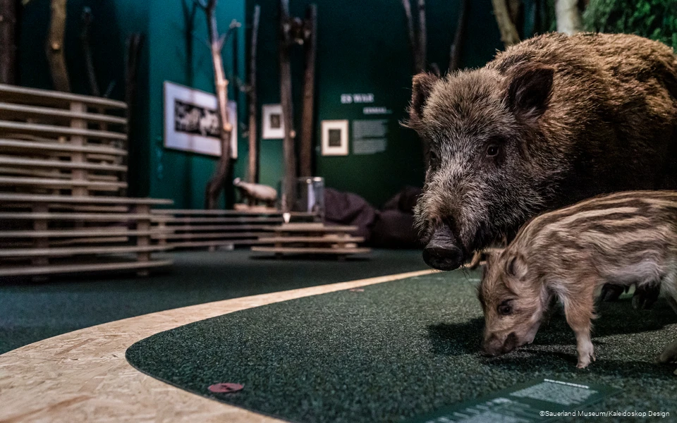 Nicht nur Kinder sind von der Inszenierung des Märchenwalds fasziniert