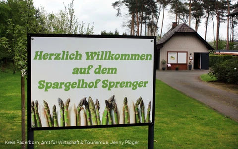 Spargelhof Sprenger | Delbrück