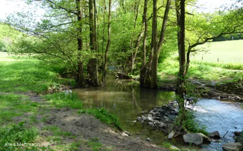 Deilbachtal