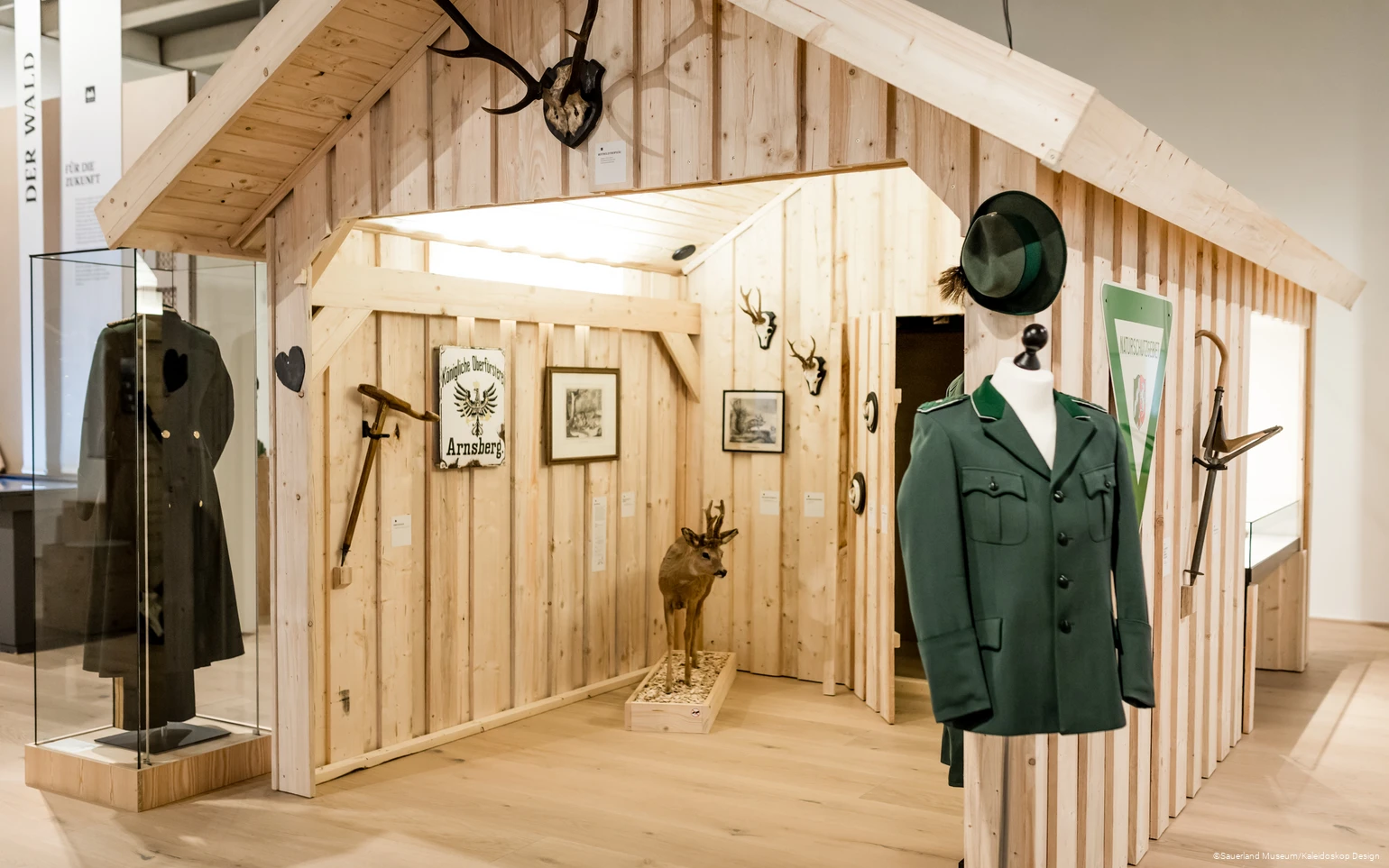 Einblick in den Themenbereich "Jagd“