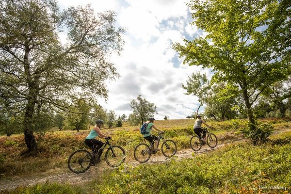 Fahrradfahrer in Winterberg