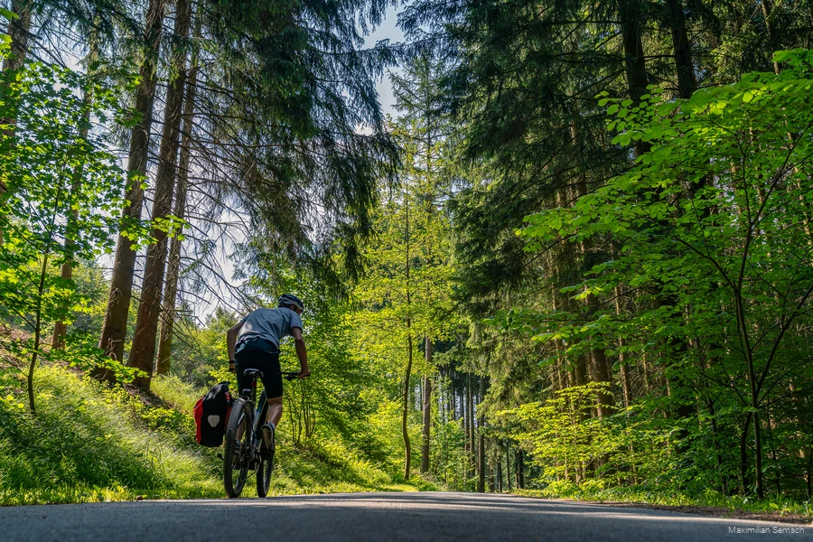 B&auml;ume erradeln
